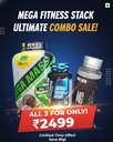 Ultimate Mass & Performance Stack (Mega Mass + Multivitamin + OMG Big Biceps)
