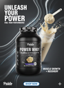 Pablo Supps Power Whey – Multi-Stage Maximum Absorption Power Blend